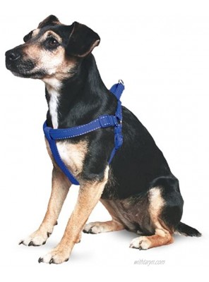 Ancol Nylon Padded Reflective Dog Harness