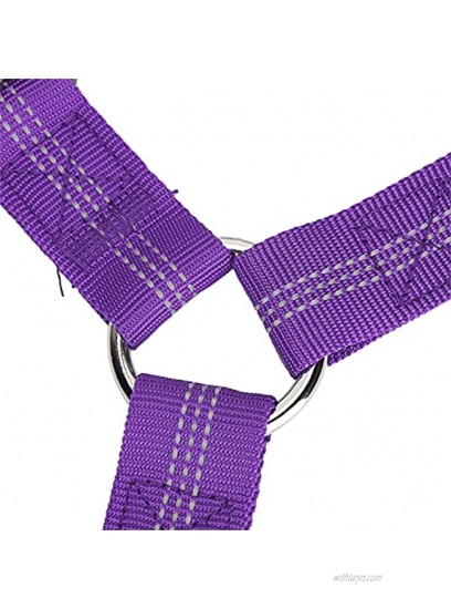 Meiyya Pet Seat Belt Nylon Pet Leash Reflective Safety Seatbelt Strap Dog Headrest Seat Belt for Walk with Dogs Outdoor for Prevent Dogs from Getting Lost