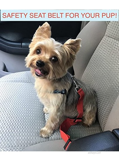 New Tech Junkies SEAT BELT restraint clip-on to collar harness Pet Dog car truck mini-van Animal Safety nylon