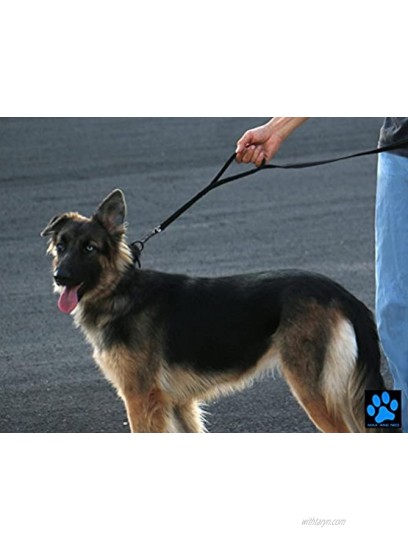 Max and Neo Double Handle Traffic Dog Leash Reflective We Donate a Leash to a Dog Rescue for Every Leash Sold