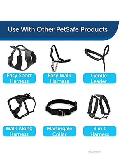 PetSafe Nylon Dog Leash Strong Durable Traditional Style Leash with Easy to Use Bolt Snap Available in Multiple Widths and Colors