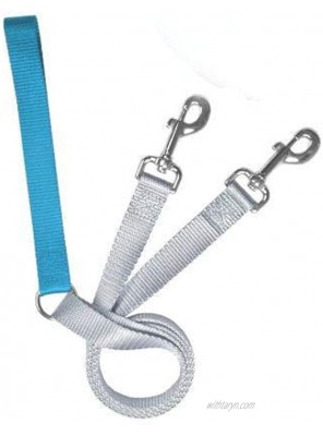 2 Hounds Design Freedom No Pull 1 Inch Training Leash ONLY Works with No Pull Harnesses Turquoise