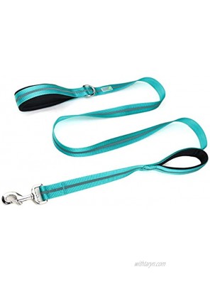DCbark Double Padded Traffic Handle Dog Leash Reflective Leash with 2 Handles L Teal
