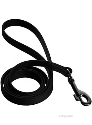 Dogline Biothane Waterproof Dog Leash Strong Coated Nylon Webbing with Black Hardware Odor-Proof for Easy Care Easy to Clean High Performance for Small or Large Dogs Made in USA 4 or 6 ft Lead