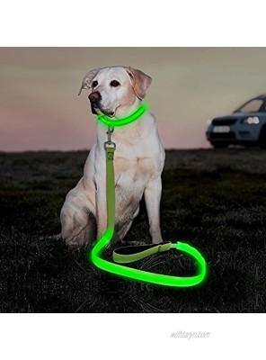 Illumifun Glowing LED Dog Leash USB Rechargeable Flashing Pet Leash 3 Flash Modes Nylon Light Up Dog Lead Makes Your Dog Visible& Safe47.2inch 120cm