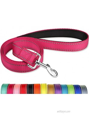 Joytale 5FT Dog Leash Double-Sided Reflective Nylon Dogs Leashes with Soft Padded Handle for Training Walking Lead for Large Medium & Small Dogs