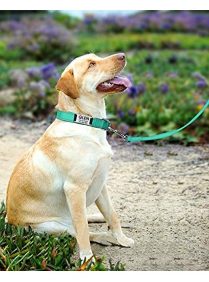 Joytale Reflective Dog Leash,6 FT 4 FT Padded Handle Nylon Dogs Leashes for Walking,Training Lead for Large Medium & Small Dogs