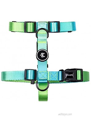 TailSweetie Dog Harness Cute Dog Harness for Small Medium and Large Dogs Lovely Boy or Female Girl Dog Harness Puppy Harness Pink Purple Green Blue Dog Harness with Optional Matching Dog Leash