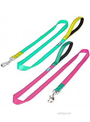 THINKPET 5ft Reflective Standard Dog Leash Set with Soft Padded Handle Easy Control Light-Weighted Durable Puppy Lead with 360 Degree Swivel Clasp