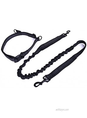 AVELORA Hands-Free Dog Leash for Medium and Large Dogs – Professional Harness with Reflective Stitches for Training Walking Jogging and Running Your Pet