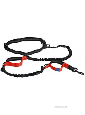 Elegant Pup Dog Hands Free Leash and Harness Set Running Hiking Leash for Large Breed Dogs