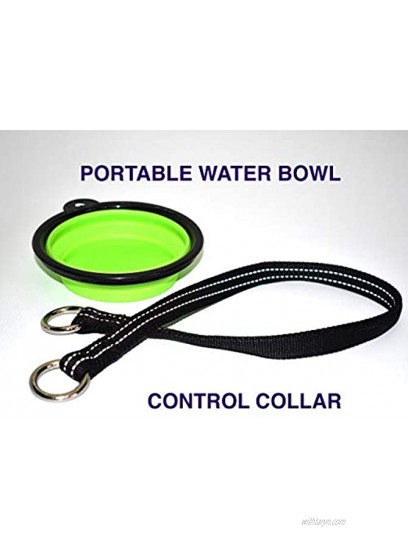 EssentialEarth Pet Hands Free Running Dog Leash Anti-Shock Extra Strong Bungee 3 in 1 Tough Adventure Lead Waist Adjustable Reflective + Storage Bag Bowl Control Collar for Medium to Large Dogs
