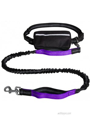 Hands Free Dog Leash ​for Walking Training ​Retractable Bungee Dog Running Waist Leash,with Zipper Pouch,Adjustable Waist Belt,Dual -Handle,Reflective Stitches,for Small Medium and Large Dogs