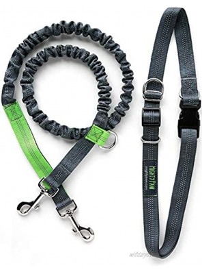 Mighty Paw Hands Free Dog Leash Premium Running Dog Leash Lightweight Reflective Bungee Dog Leash Grey Lime 36 inch Bungee