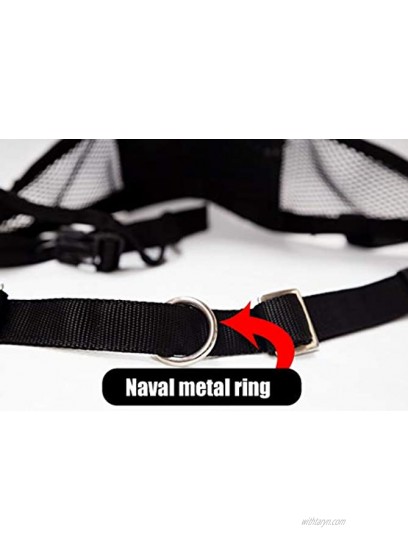 Neewa Canicross & Skijoring Belt to Run or Walk with Your Dog One-Size-Fits-All Black