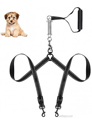 Intsun Adjustable Double Dog Leash Shock-Absorbing and Reflective Dual Dog Leash for 2 Dogs Tangle Free 360 Degrees and Soft Handles for Walking and Training Medium and Large Black