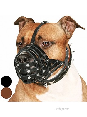 CollarDirect Pitbull Dog Muzzle Leather Amstaff Muzzles Staffordshire Terrier Secure Basket