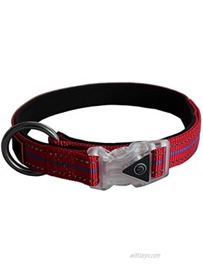 All Bark-No Bite Waterproof Double Padded LED Collar with D Ring for Dog Tag Comes in Red Black and Blue and Sizes Small Medium and Large Girl or Boy Canines