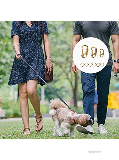 Balacoo 3Pcs Pet Tag Quick Clip Stainless Steel Sping Load Hook with 6Pcs Rings for Pet ID Tags Keychain Buckles Harnesses Gold