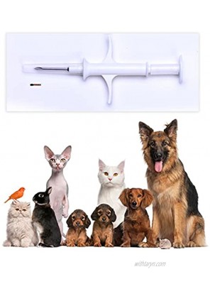 RexID 1Pack 1.25mm 7mm Pet Microchip Implant Kit Bringing to Pet Permanent ID for Administration by Vet’s Office and Animal Welfare Organization as Well as Getting Pet Safe Return When Lost