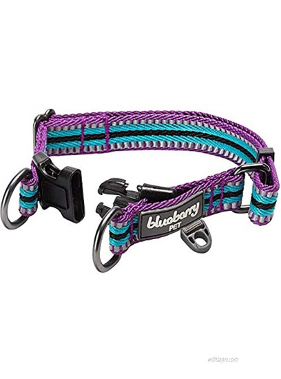 Blueberry Pet 10+ Colors Safe & Comfy Multi-Colored Stripe Dog Collars 3M Reflective Options Available