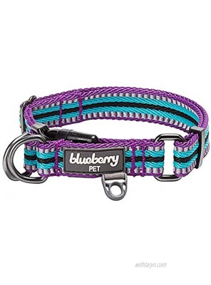 Blueberry Pet 10+ Colors Safe & Comfy Multi-Colored Stripe Dog Collars 3M Reflective Options Available