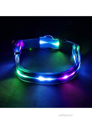 LED Dog Collar Light Up Dog Collar Waterproof USB Rechargeable Safety Glowing Light Up Collar for Large Dogs Blue