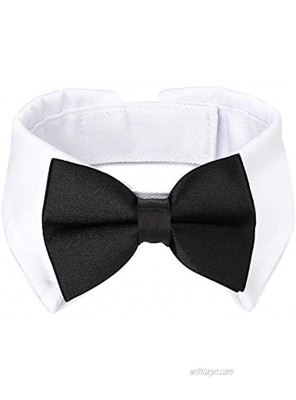 Segarty Bow Tie Dog Collar Handcrafted Adjustable White Collar Formal Tux Dog Bowtie for Pet Cats Puppies Necktie for Small Boy Dog Wedding Birthday Gift Grooming Bows