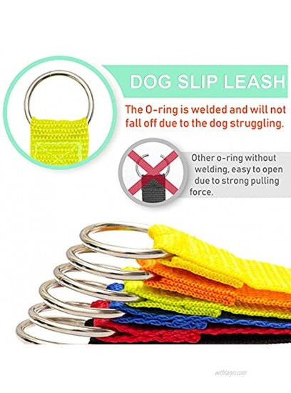 ADCSUITZ Dog Slip Leads Rope Cat Leash,6 FT Strong Pulling Durable Leashes with O-Ring,6 Colors Soft Strap for Puppy Kittens,Easy Control for Grooming Shelter Rescues Walking Training,etc.