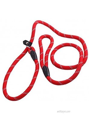 erioctry Pet Dog Nylon Adjustable Loop Slip Traning Leash Lead Rope Slip Dog Leash and Collar 1.2m Red