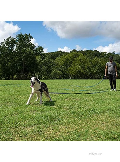 Hi Kiss Dog Puppy Obedience Recall Training Agility Lead 15ft 20ft 30ft 50ft 100ft Training Leash Great for Training Play Camping or Backyard Black 30ft