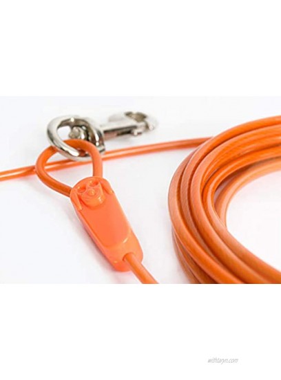 IntelliLeash Tie-Out Cable for Extra Large and Strong Dogs and Pets. 60 Foot Cable for Dogs up to 250 pounds.