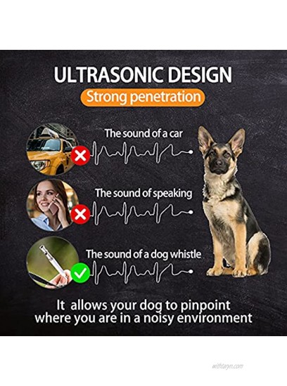 Dog Whistle with Free Lanyard Adjustable Frequencies Ultrasonic Stainless Steel Effective Way of Training Professional Dog Whistles to Stop Barking White