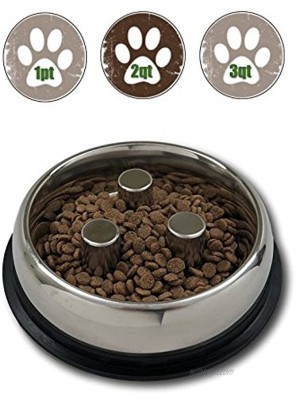 Top Dog Chews Brake-Fast Slow Feed Stainless Steel Bowls 2 Quart 64oz 5 Cups