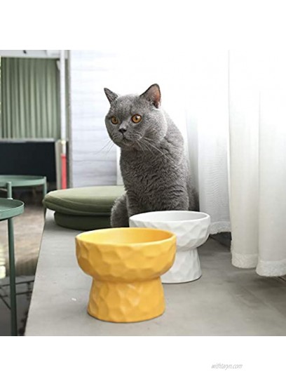CHIDOO Ceramic Raised Cat Bowl Dog Bowl Elevated Dog Bowl Cat Food Dish Pet Bowl Dog Water Bowl Dog Dish