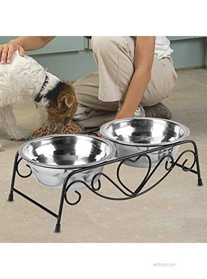 Elevated Double Pet Bowl Polished Stainless Steel Modern Cat Dog Double Puppy Pet Water Food Lower Raised Feeder Dish Bowls Stand US for Home Great Gift