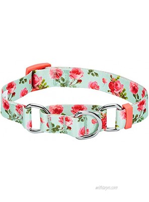 Blueberry Pet 7 Patterns Spring Scent Inspired Rose Print Safety Training Martingale Dog Collars Personalized Collars