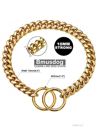 BMusdog Gold Dog Chain Collar 10MM Choke Collar Stainless Steel Metal Collars Silp Choker Chain for Small Medium Large Dogs 10 to 24in