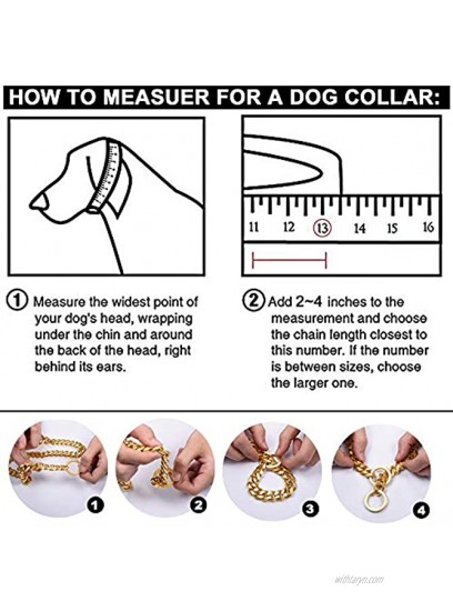 BMusdog Gold Dog Chain Collar 10MM Choke Collar Stainless Steel Metal Collars Silp Choker Chain for Small Medium Large Dogs 10 to 24in