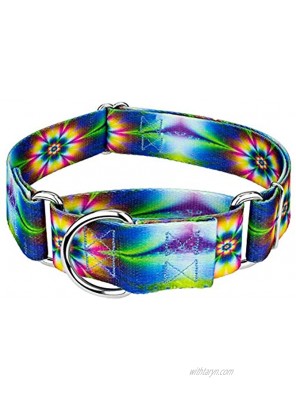 Country Brook Petz Martingale Dog Collar Groovy Collection