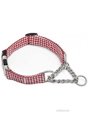 Fourhorse Stainless Steel Chain Martingale Collar,Training Dog Collar for Small Medium Large Pets