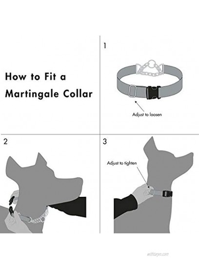 Friends Forever Martingale Collars for Dogs Reflective No Pull Dog Collar for Training Large Medium Breed Dogs Medium