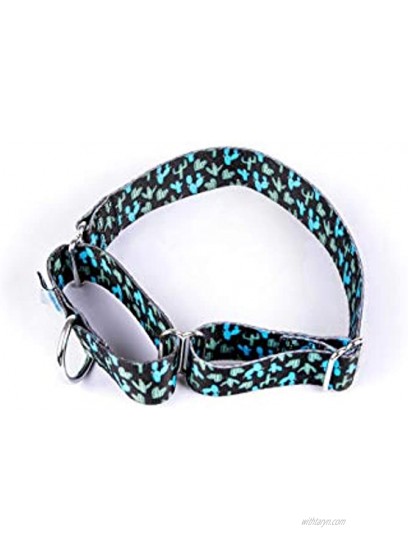 Martingale Dog Collar Cactus with Six Foot Leash Heavy Duty