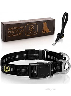 Pack of 2 Martingale Dog Collar and Leash Bonus Reflective Martingale Collars for Dogs with Snap Buckle Large Extra Large No Slip Dog Collar