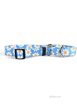 Yellow Dog Design Martingale Slip Collar Daisies Collection