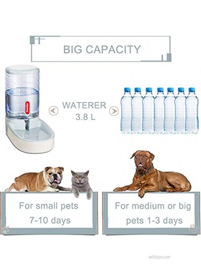 2 in 1 Pets Feeder Automatic Cat Feeder and Water Dispenser for Small Medium Big Dogs Cats Big Capacity 3.8L Light Gray
