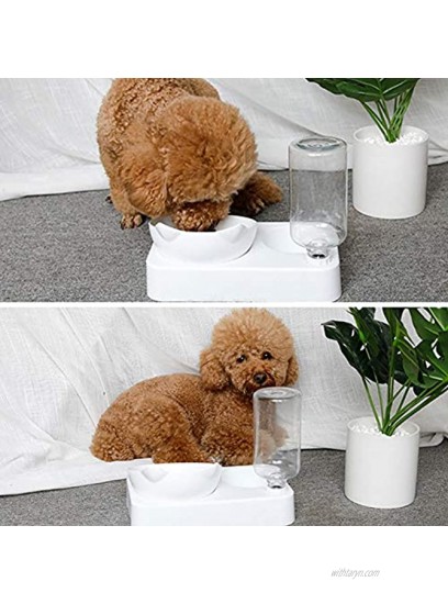 Fishlor Dog Water Bowls Cat Water Dispenser Dog Waterer for Dog CatL