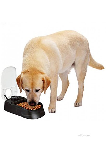 PAWISE Automatic Pet Feeder for Dogs and Cats 1.5 Cup Food Dispenser Feeder with 48-Hour Timer Single
