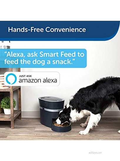 PetSafe Smart Feed Automatic Dog and Cat Feeder Smartphone Wi-Fi Enabled for iPhone and Android Smartphones