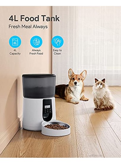 Upgraded Automatic Cat Feeder KATALIC Clog-Free 4L Cat Food Dispenser Sliding Lock Lid Storage Timed Feeder for Cat and Dogs with Voice Recorder Stainless Steel Bowl Programmable Meal & Portion
